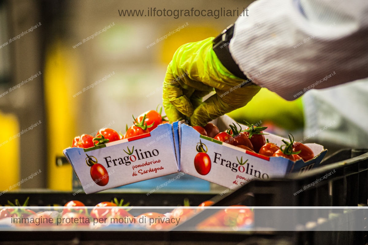 food photography