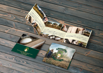 Brochure aziendale e materiale promozionale coordinato